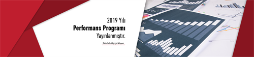 2019 Performans Programı